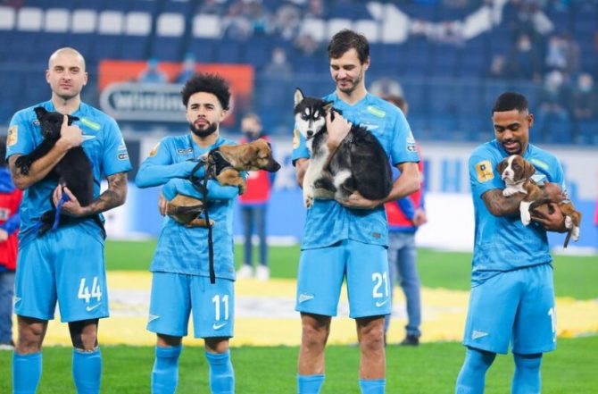 Ζενίτ όπως... ΑΕΚ: Οι παίκτες μπήκαν στο γήπεδο κρατώντας σκυλιά στην  αγκαλιά τους - AEK1924.gr